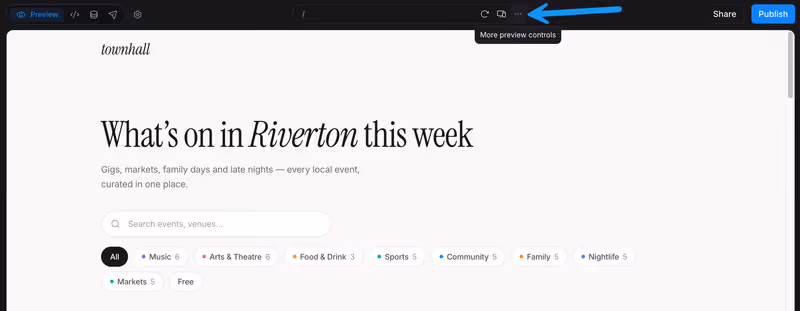 Preview controls above the project